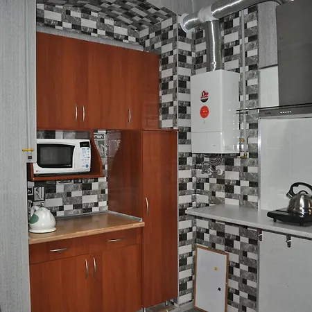 For Two Families On Koblevskoi Apartment